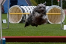 Bundessiegerprüfung Agility am 21.06.2009 _120