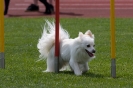 Bundessiegerprüfung Agility am 21.06.2009 _128