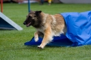 Bundessiegerprüfung Agility am 21.06.2009 _133