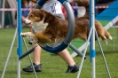 Bundessiegerprüfung Agility am 21.06.2009 _134