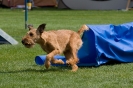 Bundessiegerprüfung Agility am 21.06.2009 _136