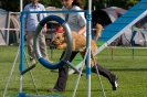 Bundessiegerprüfung Agility am 21.06.2009 _137