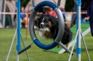 Bundessiegerprüfung Agility am 21.06.2009 _138