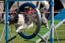 Bundessiegerprüfung Agility am 21.06.2009 _142