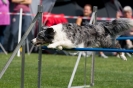 Bundessiegerprüfung Agility am 21.06.2009 _143