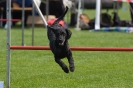 Bundessiegerprüfung Agility am 21.06.2009 _150