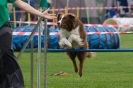 Bundessiegerprüfung Agility am 21.06.2009 _155