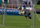 Bundessiegerprüfung Agility am 21.06.2009 _43