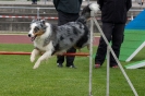 Bundessiegerprüfung Agility am 21.06.2009 _45