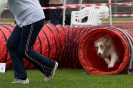 Bundessiegerprüfung Agility am 21.06.2009 _47