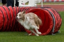 Bundessiegerprüfung Agility am 21.06.2009 _48