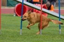 Bundessiegerprüfung Agility am 21.06.2009 _50