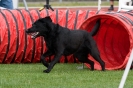 Bundessiegerprüfung Agility am 21.06.2009 _54