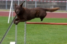 Bundessiegerprüfung Agility am 21.06.2009 _55