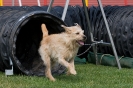 Bundessiegerprüfung Agility am 21.06.2009 _79