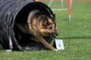 Bundessiegerprüfung Agility am 21.06.2009 _82