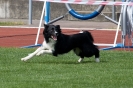 Bundessiegerprüfung Agility am 21.06.2009 _90