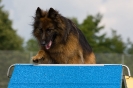 Bundessiegerprüfung Agility am 21.06.2009 _91