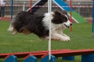 Bundessiegerprüfung Agility am 21.06.2009 _95