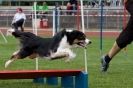 Bundessiegerprüfung Agility am 21.06.2009 _97