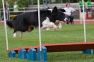 Bundessiegerprüfung Agility am 21.06.2009 _98