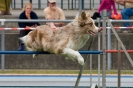 Bundessiegerprüfung Agility am 21.06.2009 _99