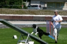 Bundessiegerprüfung Agility in Haunstetten am 22.06.2008  _100