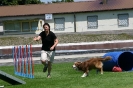 Bundessiegerprüfung Agility in Haunstetten am 22.06.2008  _101