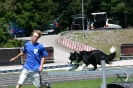 Bundessiegerprüfung Agility in Haunstetten am 22.06.2008  _108