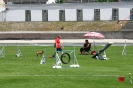 Bundessiegerprüfung Agility in Haunstetten am 22.06.2008  _118