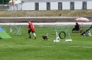 Bundessiegerprüfung Agility in Haunstetten am 22.06.2008  _120