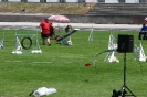 Bundessiegerprüfung Agility in Haunstetten am 22.06.2008  _121