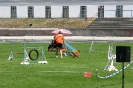 Bundessiegerprüfung Agility in Haunstetten am 22.06.2008  _123