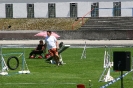 Bundessiegerprüfung Agility in Haunstetten am 22.06.2008  _127