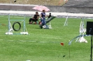 Bundessiegerprüfung Agility in Haunstetten am 22.06.2008  _136