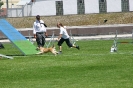 Bundessiegerprüfung Agility in Haunstetten am 22.06.2008  _139