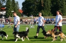 Bundessiegerprüfung Agility in Haunstetten am 22.06.2008  _13