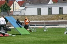 Bundessiegerprüfung Agility in Haunstetten am 22.06.2008  _141