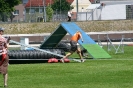 Bundessiegerprüfung Agility in Haunstetten am 22.06.2008  _142