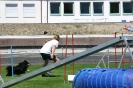 Bundessiegerprüfung Agility in Haunstetten am 22.06.2008  _144