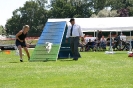 Bundessiegerprüfung Agility in Haunstetten am 22.06.2008  _155