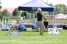 Bundessiegerprüfung Agility in Haunstetten am 22.06.2008  _159