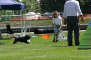 Bundessiegerprüfung Agility in Haunstetten am 22.06.2008  _169