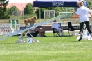 Bundessiegerprüfung Agility in Haunstetten am 22.06.2008  _172