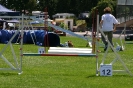 Bundessiegerprüfung Agility in Haunstetten am 22.06.2008  _183