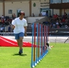 Bundessiegerprüfung Agility in Haunstetten am 22.06.2008  _185