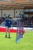 Bundessiegerprüfung Agility in Haunstetten am 22.06.2008  _188