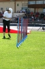 Bundessiegerprüfung Agility in Haunstetten am 22.06.2008  _190