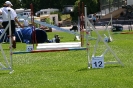 Bundessiegerprüfung Agility in Haunstetten am 22.06.2008  _191