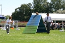 Bundessiegerprüfung Agility in Haunstetten am 22.06.2008  _192